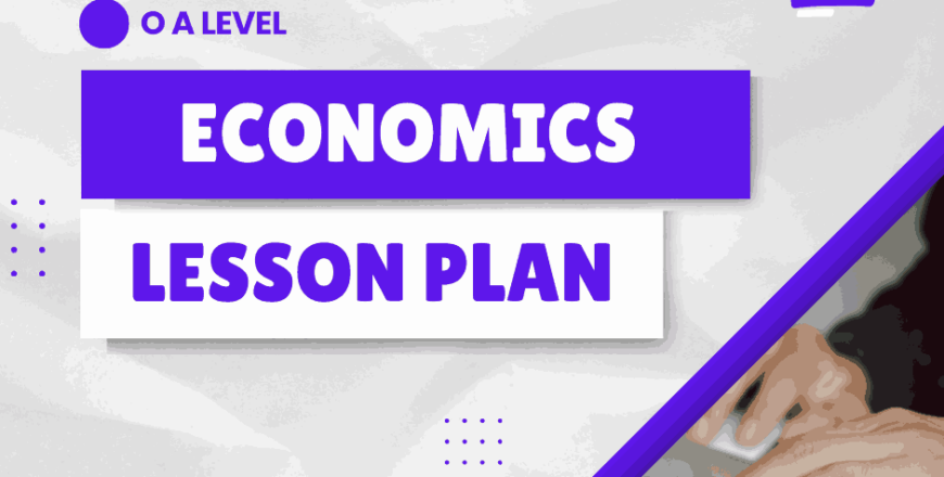 Economics lesson plan n